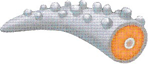 File:MV Dokuna tail Artwork.png