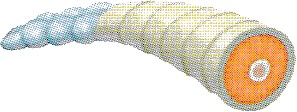 File:MV Mahina tail Artwork.png