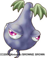Nirva