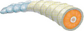 Thumbnail for version as of 03:24, 29 August 2026